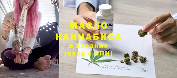 дмт Абаза