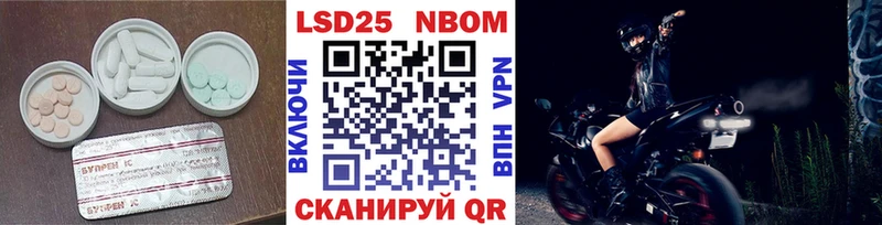 магазин продажи Сальск LSD-25 экстази кислота